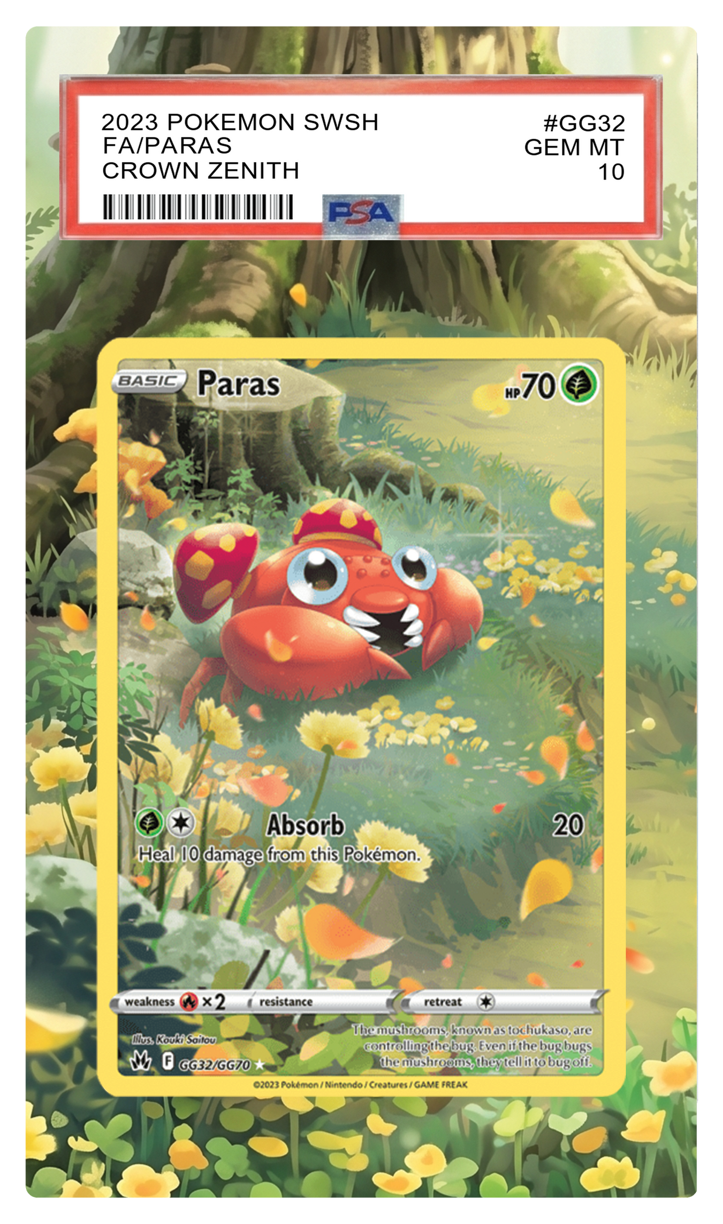 Paras - GG32 CRZ Custom Extended Aura