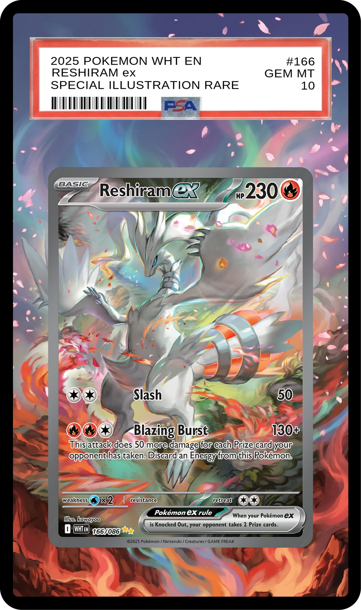 SA-AURA-144 Black Guard