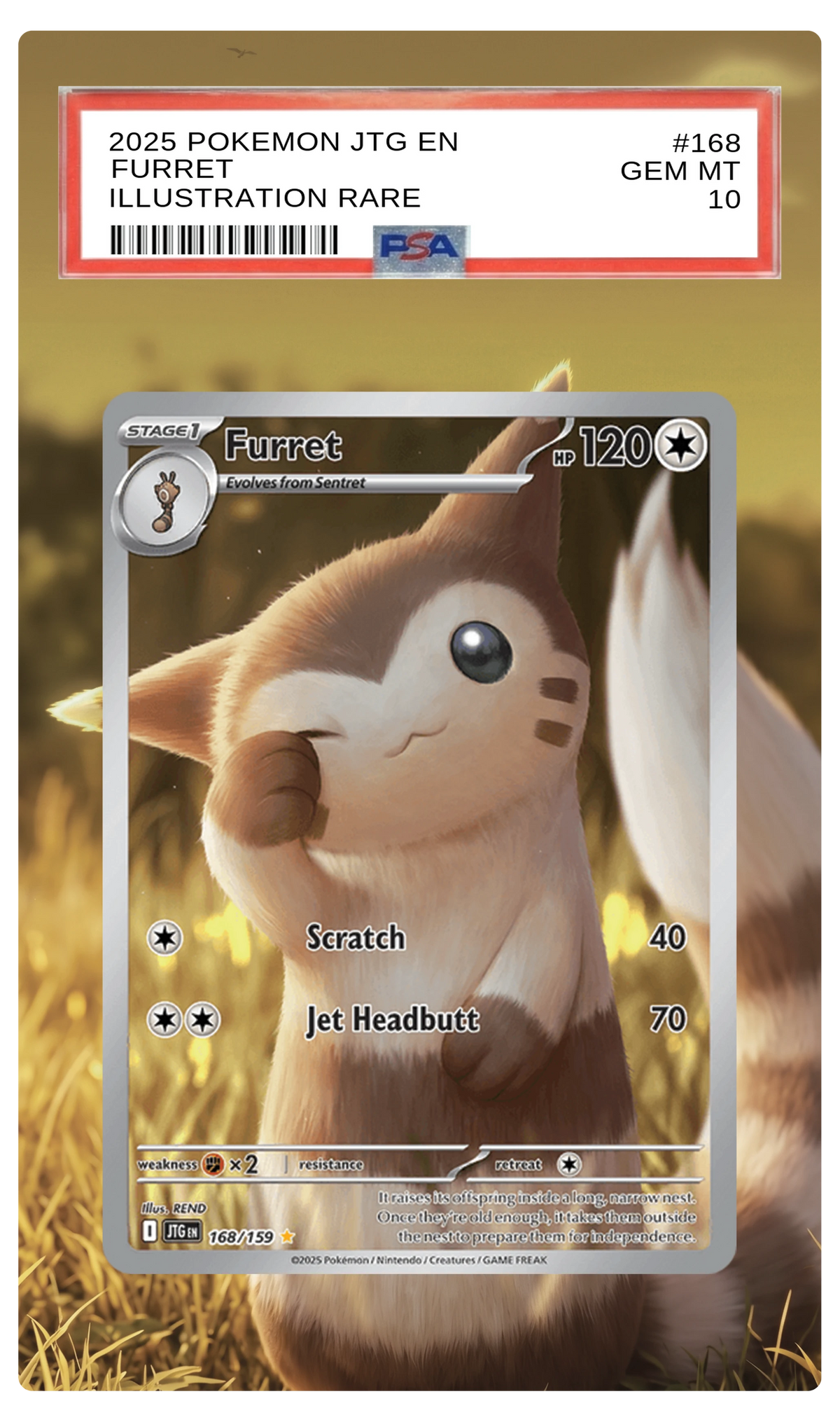 Furret - 168 JTG Custom Extended Aura