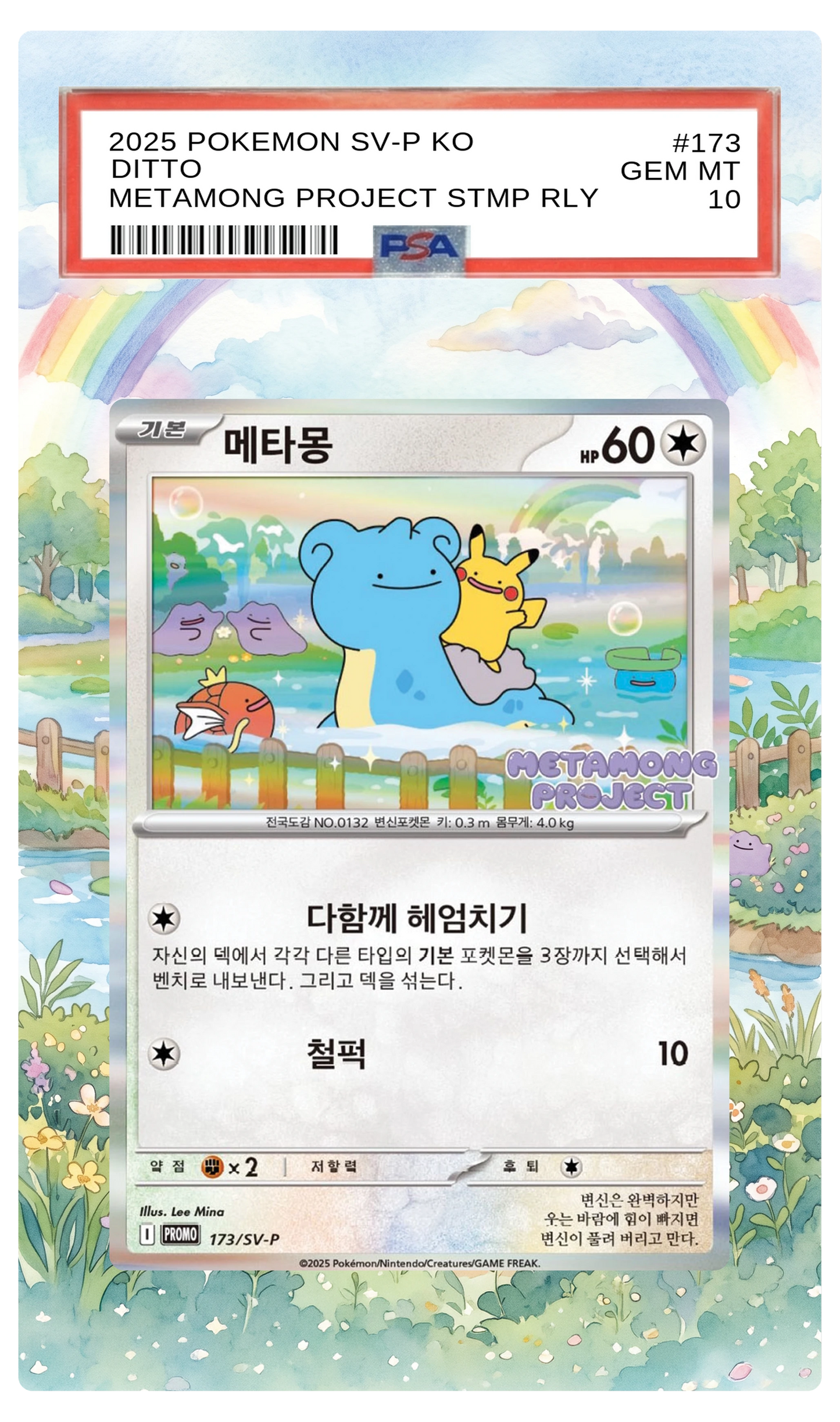 Ditto - 173 S-P Custom Extended Aura