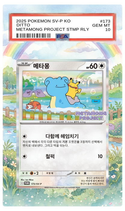 Ditto - 173 S-P Custom Extended Aura