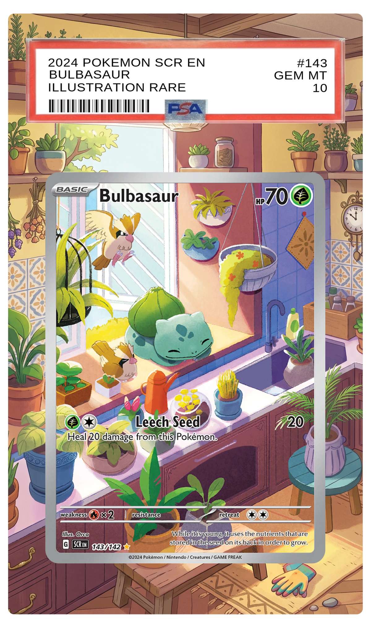 Bulbasaur - 143 SCR Custom Extended Aura