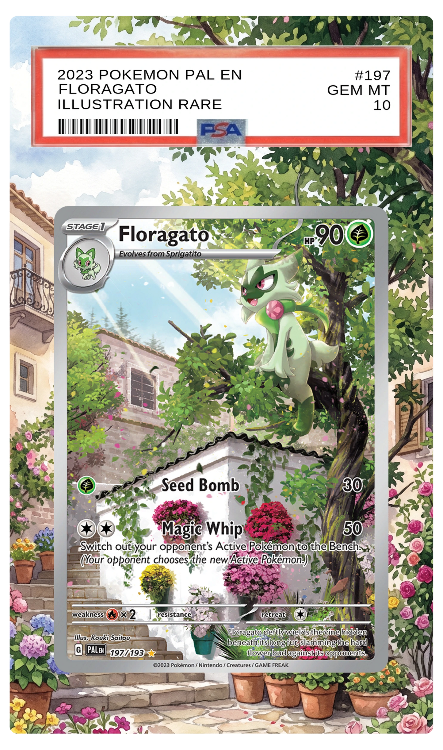 Floragato - 197 PAL Custom Extended Aura