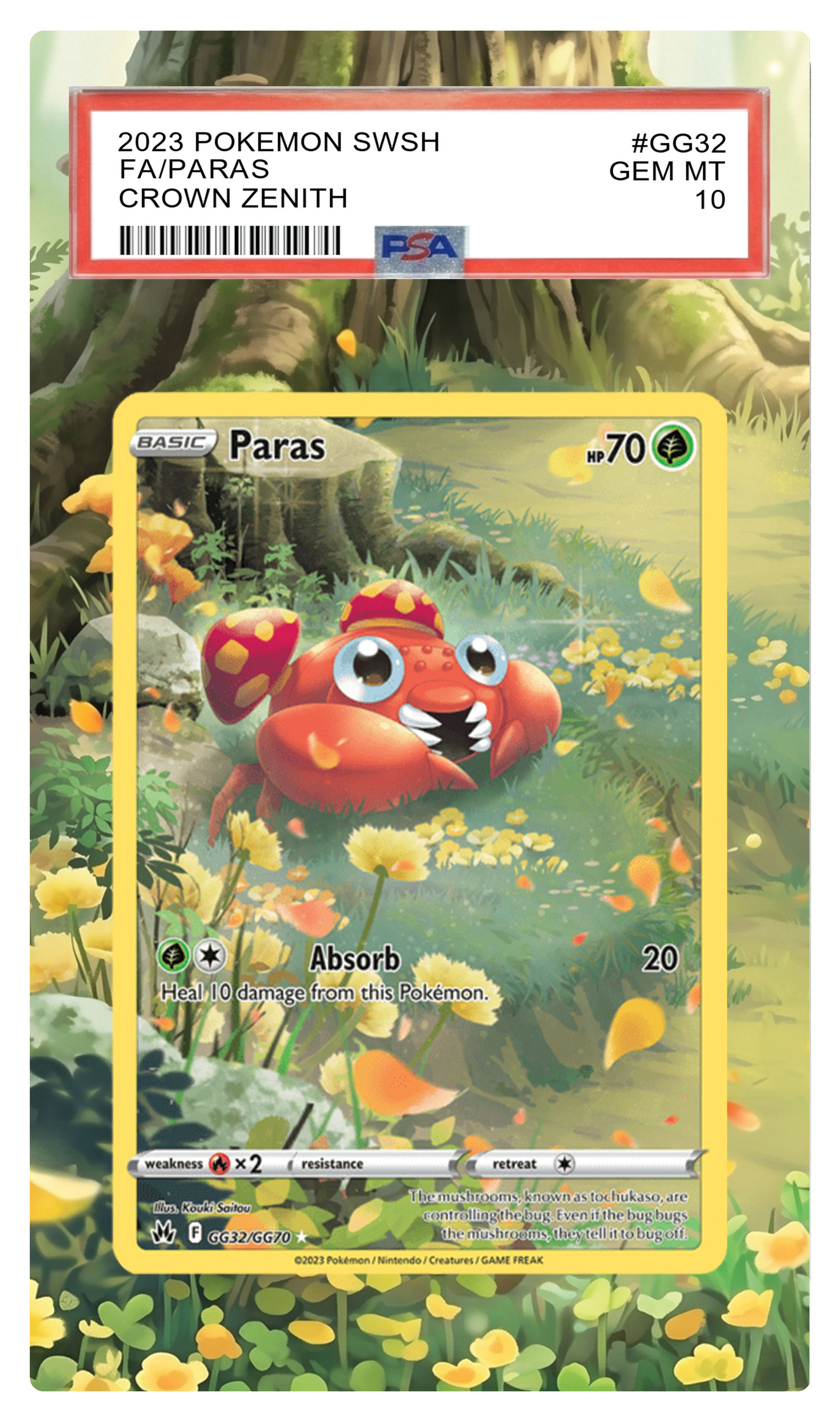 Paras - GG32 CRZ Custom Extended Aura