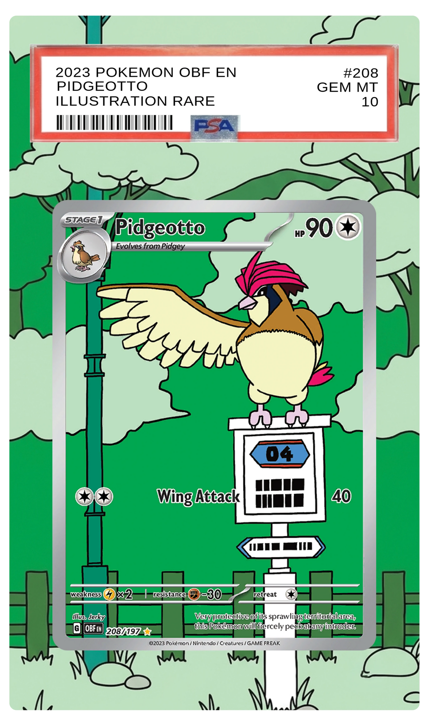 Pidgeotto - 208 OBF Custom Extended Aura