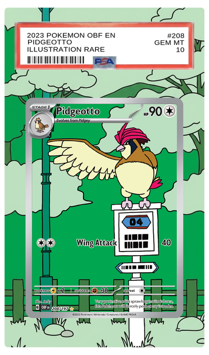Pidgeotto - 208 OBF Custom Extended Aura
