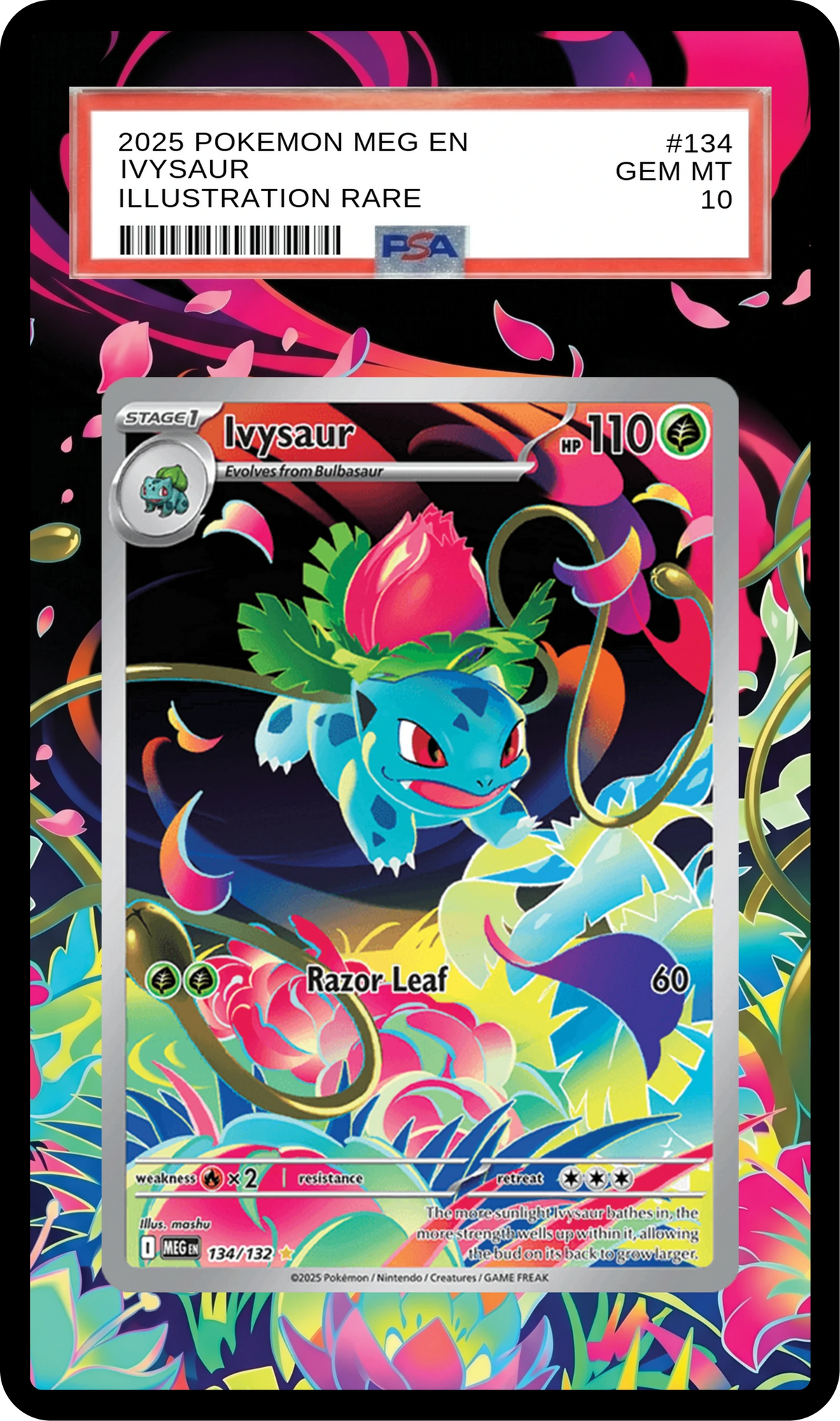 SA-AURA-397 Black Guard