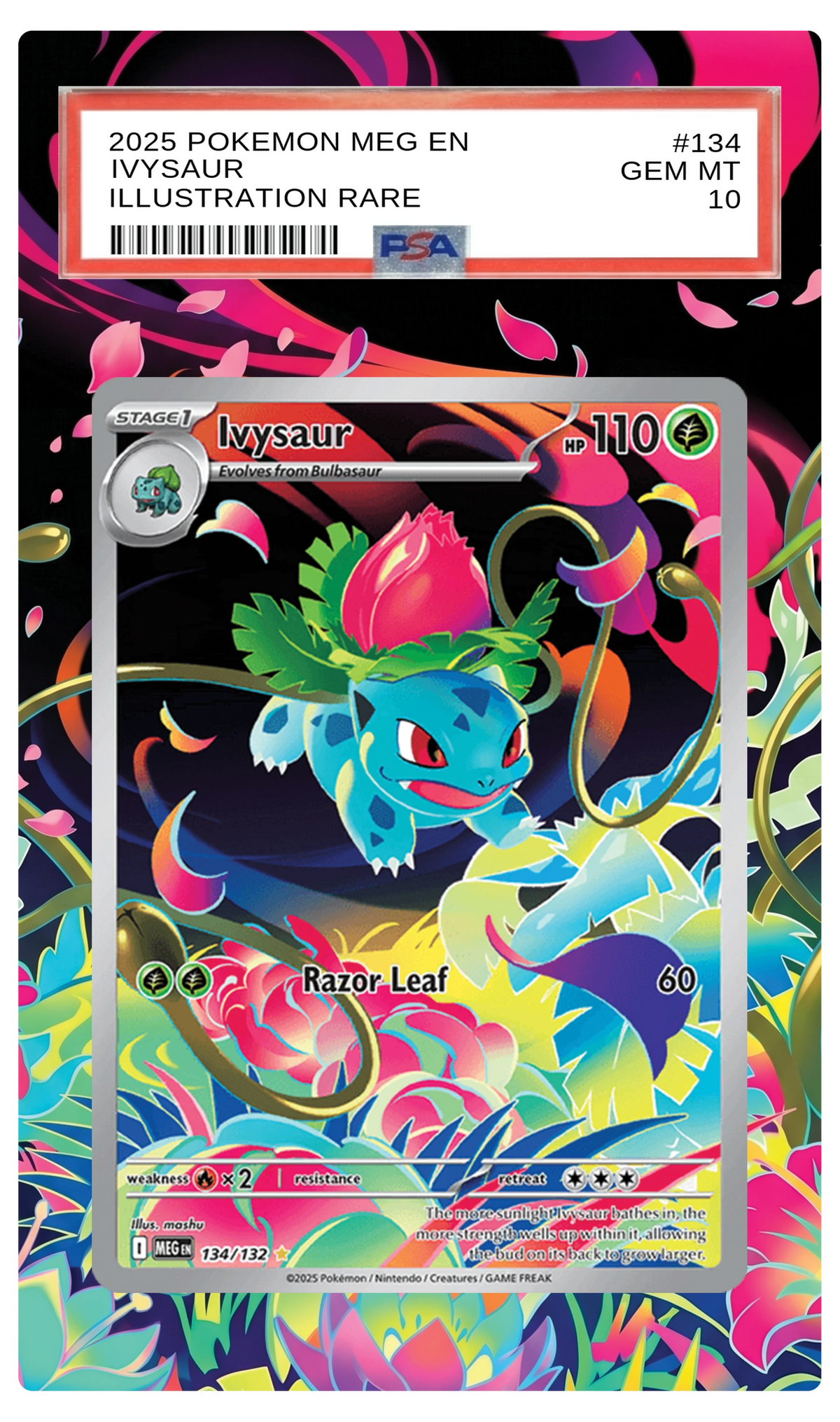 Ivysaur - 134 MEG Custom Extended Aura